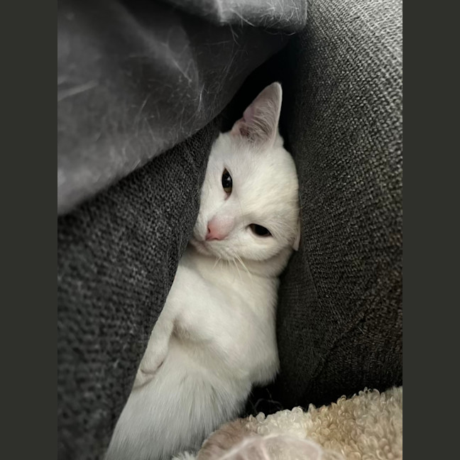 Photo of Wally