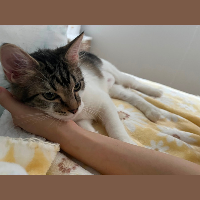 Photo of Minty 