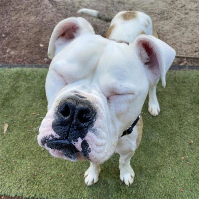 Photo of Thor
