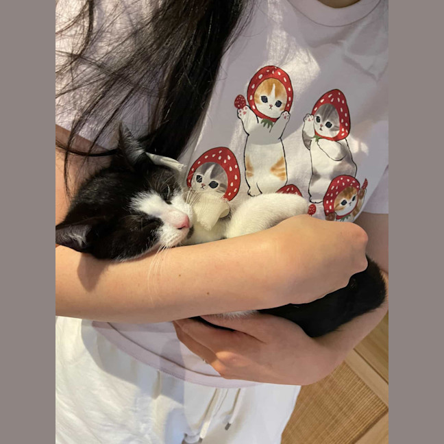 Photo of Moomoo & Bonbon