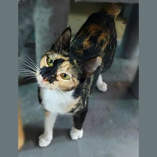 Photo of Neve Now Stevie