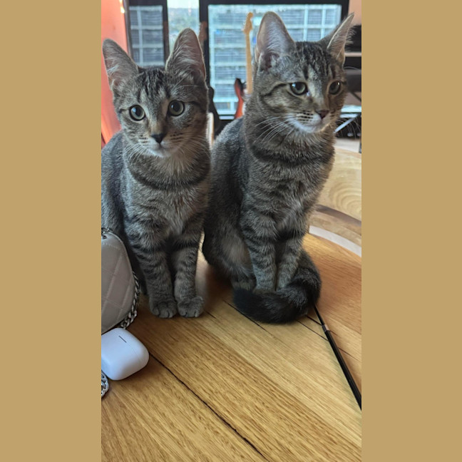 Photo of Nadia & Mishka 