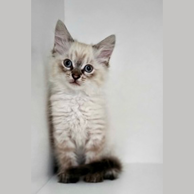 Photo of Steffie