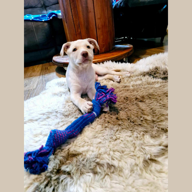 Photo of Bubble