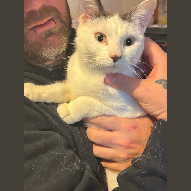 Photo of Miracle 