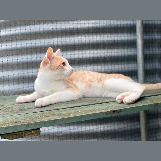 Photo of Dewey