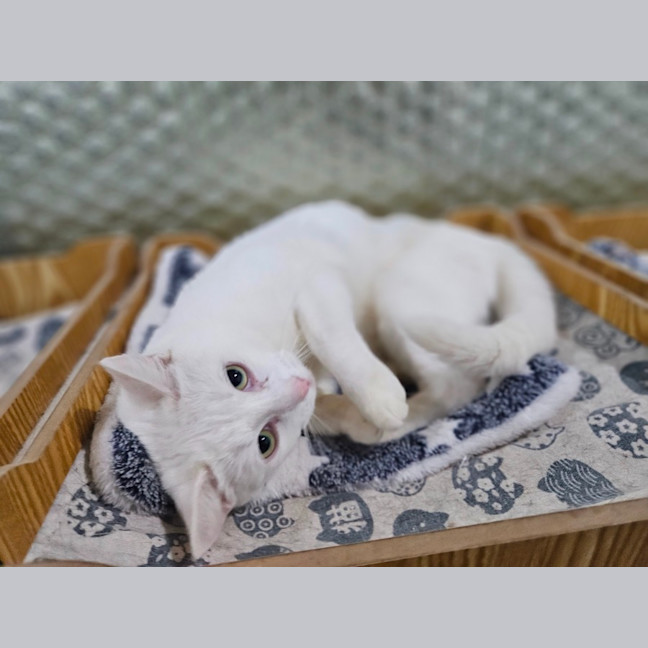 Photo of Rinnie