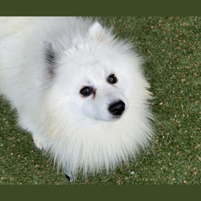 Photo of Powder