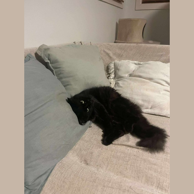 Photo of Douglas (9193)