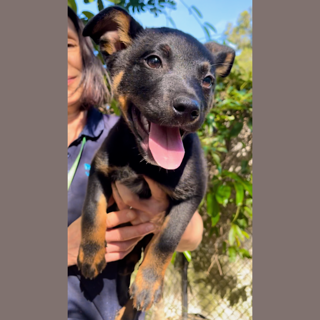 Photo of Hugo