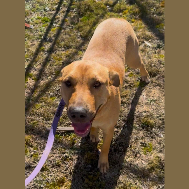 Photo of Winnie 