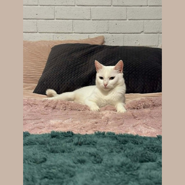 Photo of Jewel