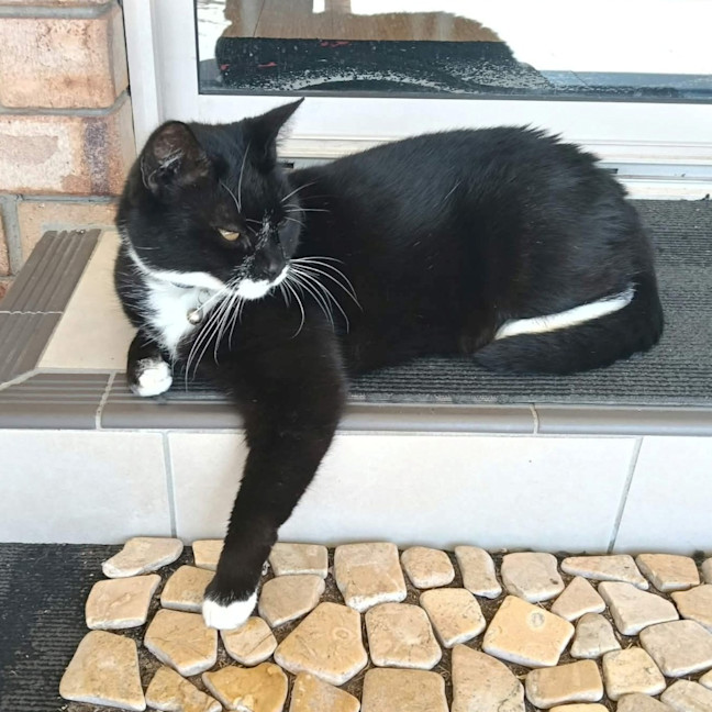 Photo of Nelson