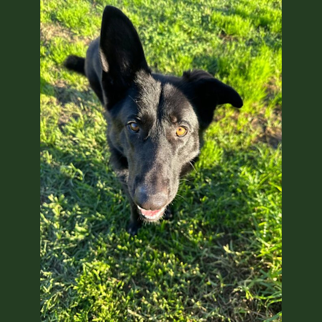 Photo of Azula
