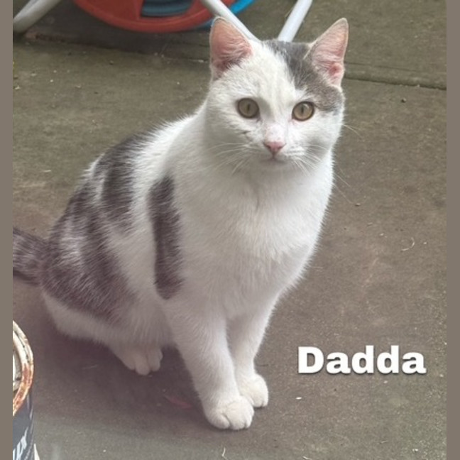 Photo of Dadda Scott