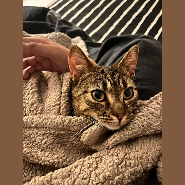 Photo of Patch