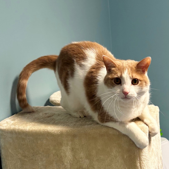 Photo of Lewis Sua013375