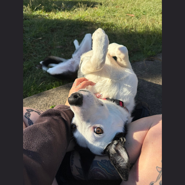 Photo of Pippy