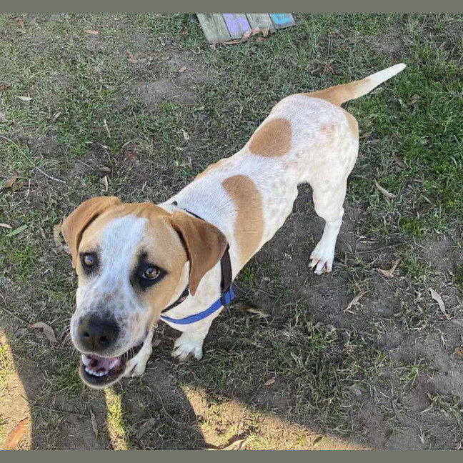 Photo of Casper