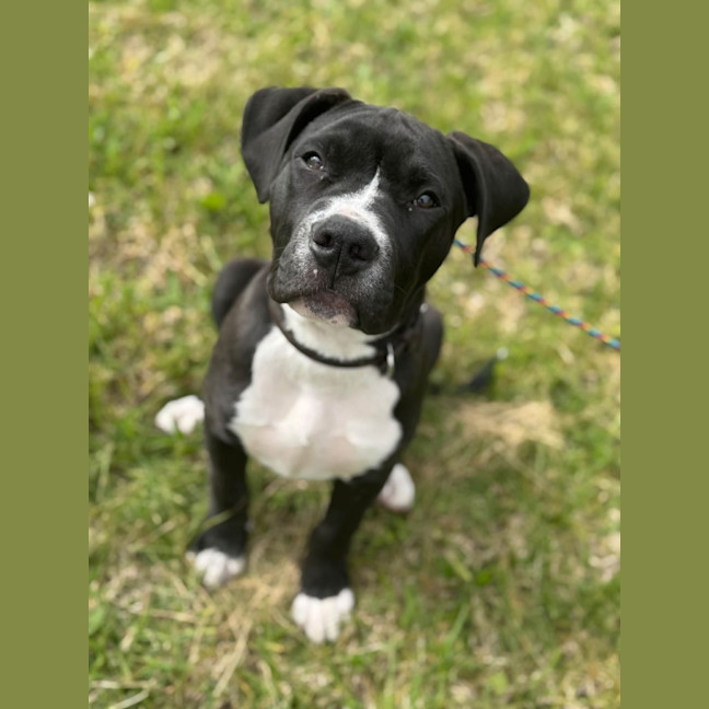 Photo of Bruce