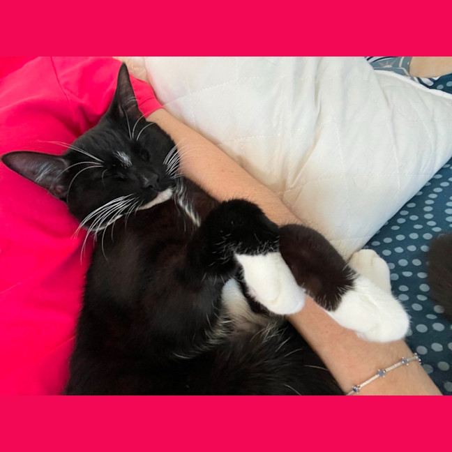 Photo of Luna 