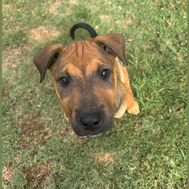 Photo of Pentonville