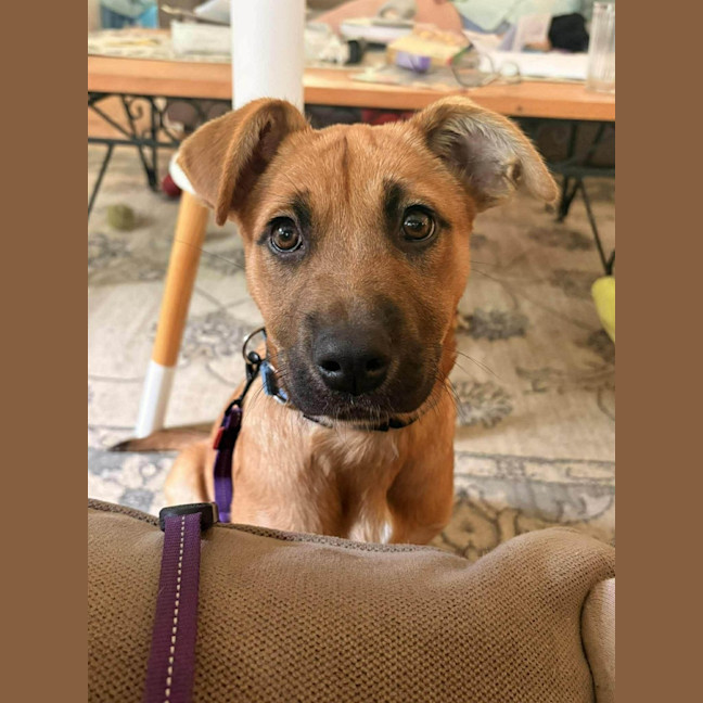 Photo of Gabby