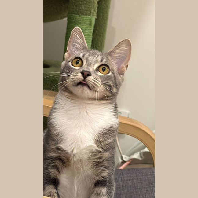 Photo of Adeline