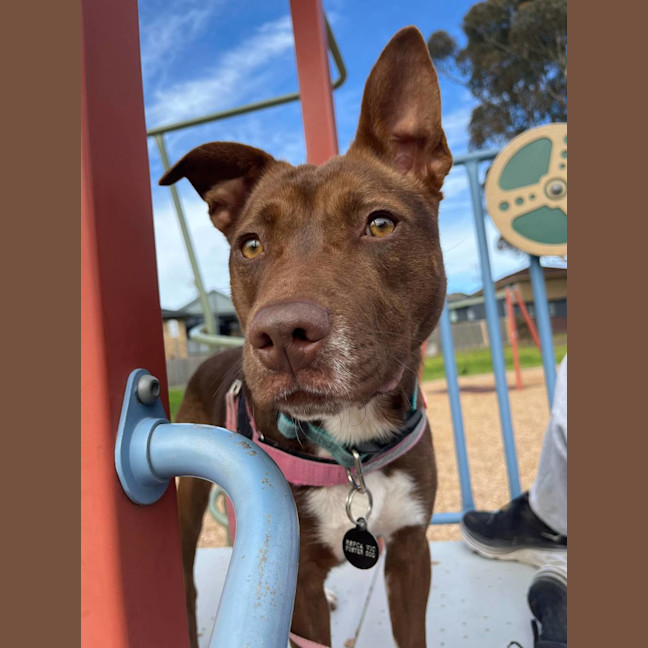 Photo of Lulu