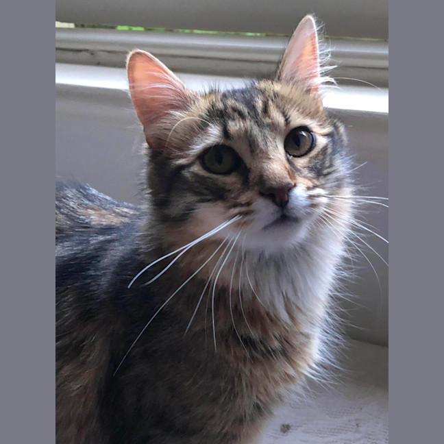 Photo of Barney & Fred