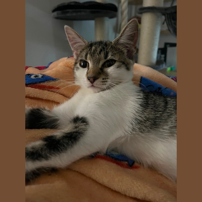 Photo of Pearl