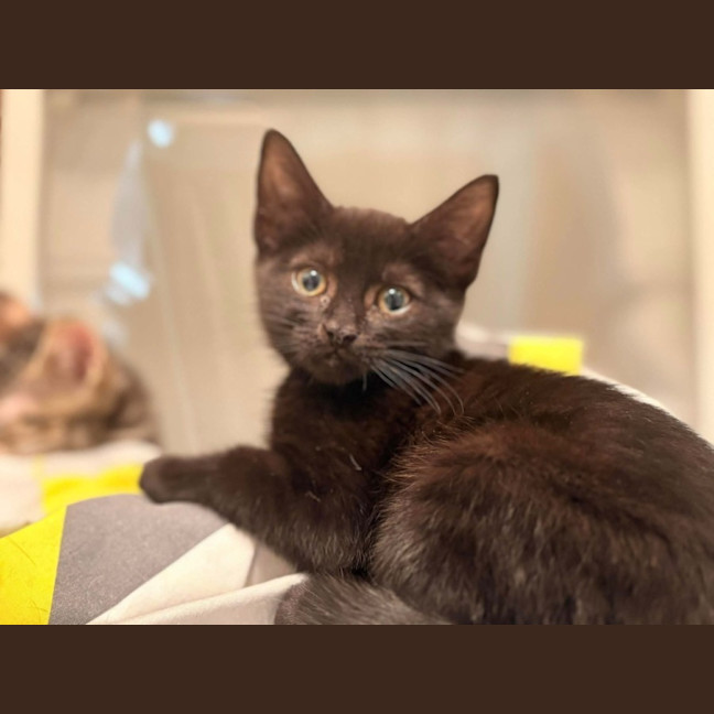 Photo of Mippy
