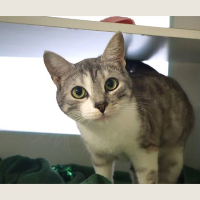 Photo of Luna