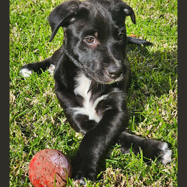 Photo of Cash