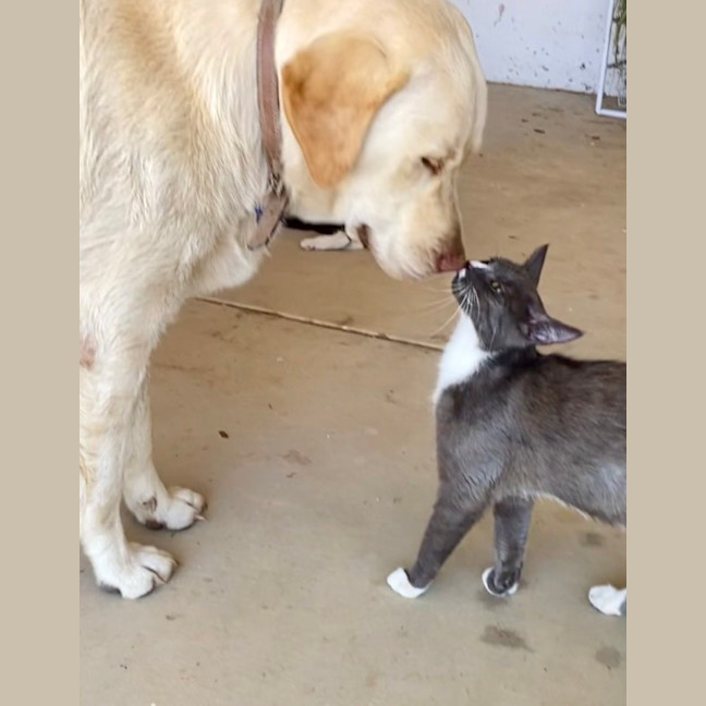 Photo of Edwina & Trixie