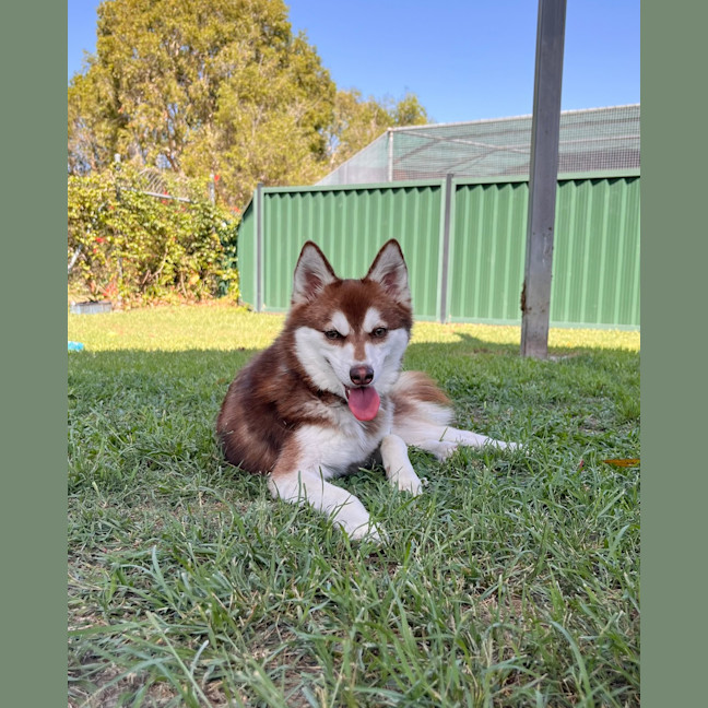 Photo of Jessie