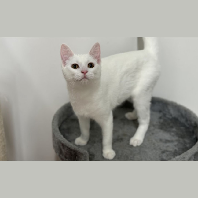 Photo of Winnie
