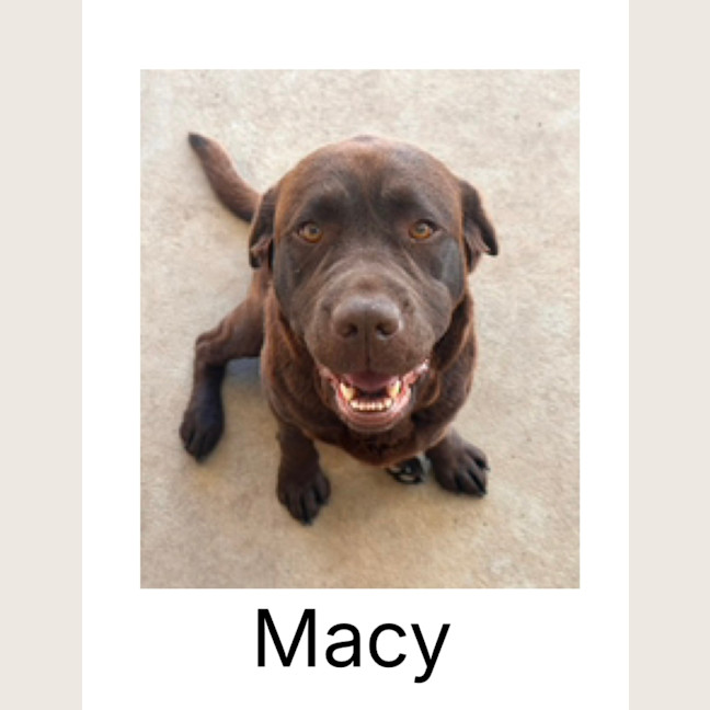 Photo of Macey