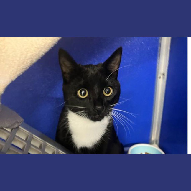 Photo of Timtam