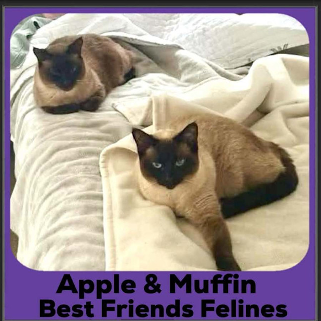 Photo of Apple And Muffin 
