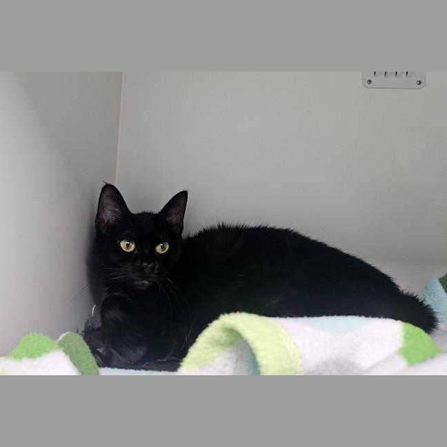Photo of Sally