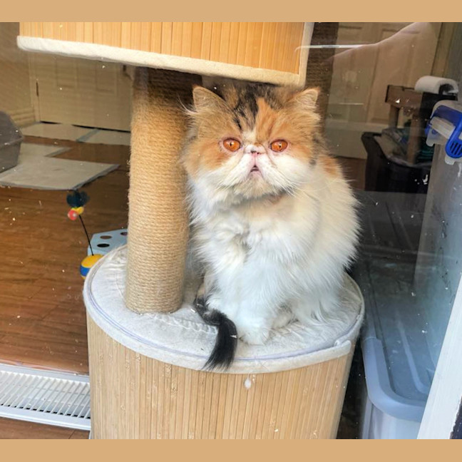 Photo of 📦Lois📦