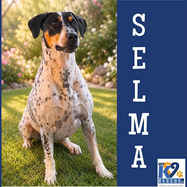 Photo of Selma