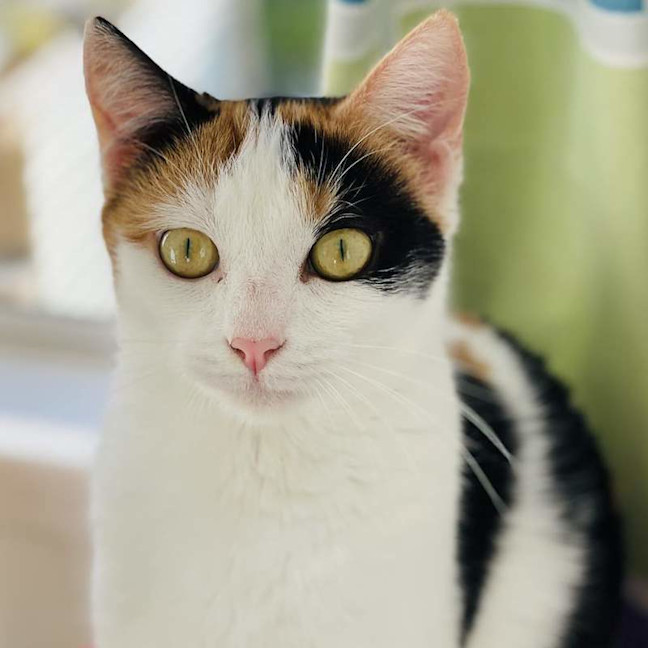 Photo of Mumm