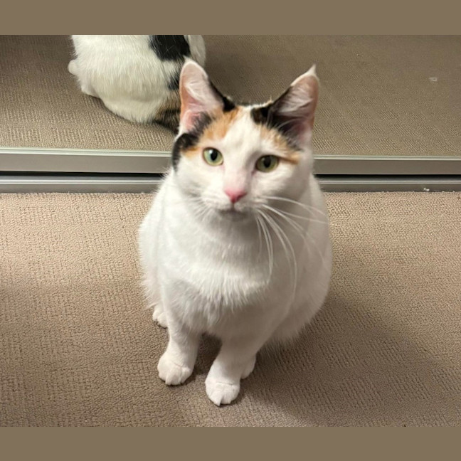 Photo of Fleur