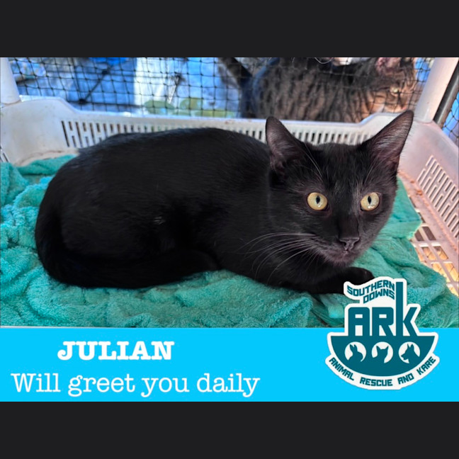 Photo of Julian