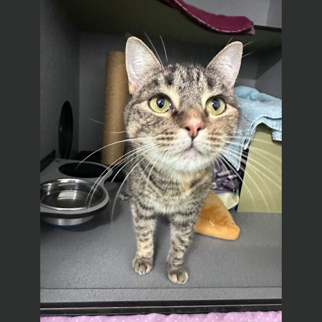 Photo of Hermes