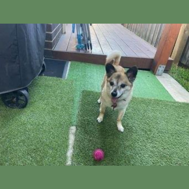 Photo of Leo O’cleary