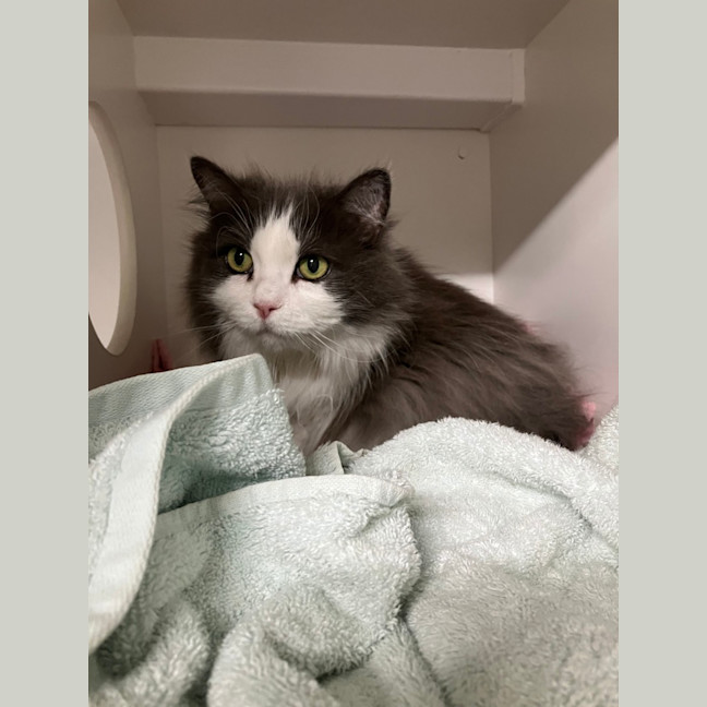 Photo of Peggy