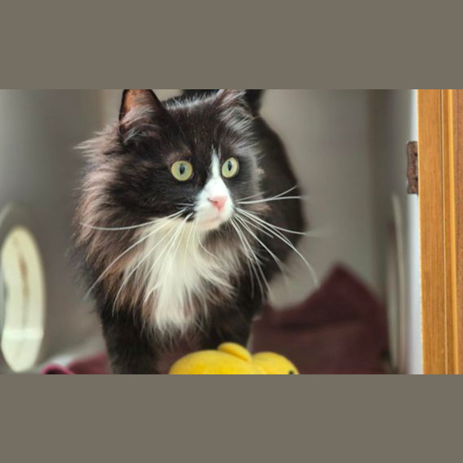 Photo of Milky